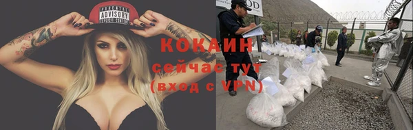 спиды Алзамай