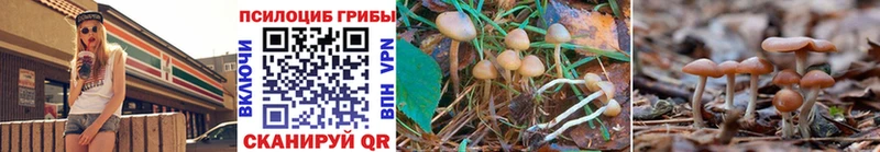 мега вход Находка Псилоцибиновые грибы мицелий наркота
