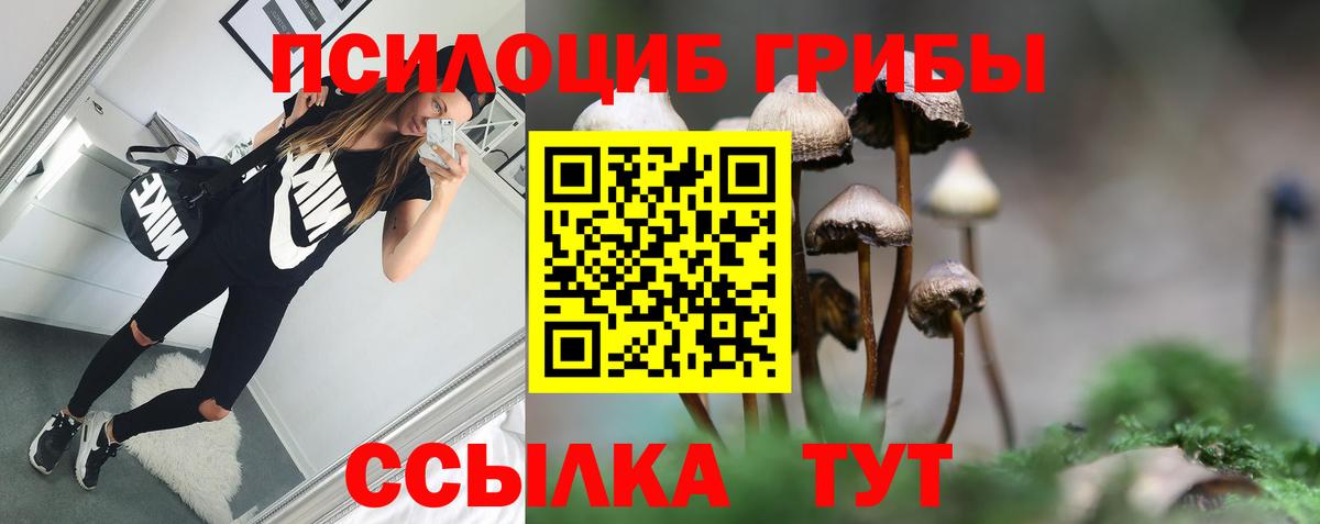 Псилоцибиновые грибы мухоморы  Вход с VPN  Находка 